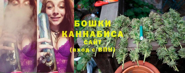 шишки Семикаракорск